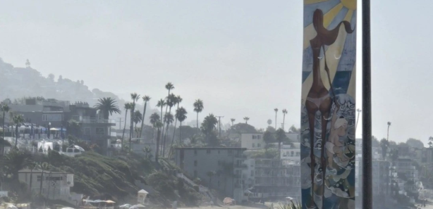 The owner of a California gambling company has been sentenced to 21 months in prison for illegal operations.