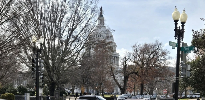 The continuous scandals in the U.S. sports betting industry in 2025 pose a severe test to industry integrity and regulation.