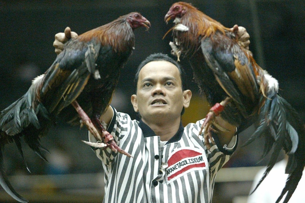 Philippines "Cockfighting Enthusiast Disappearance Case" Exposes More Scandals: Police Accept Bribes to Kill, 500,000 Pesos Reward per Person