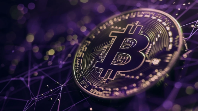 Yolo Group Strategic Transformation: From Crypto Gambling to Regulated Markets