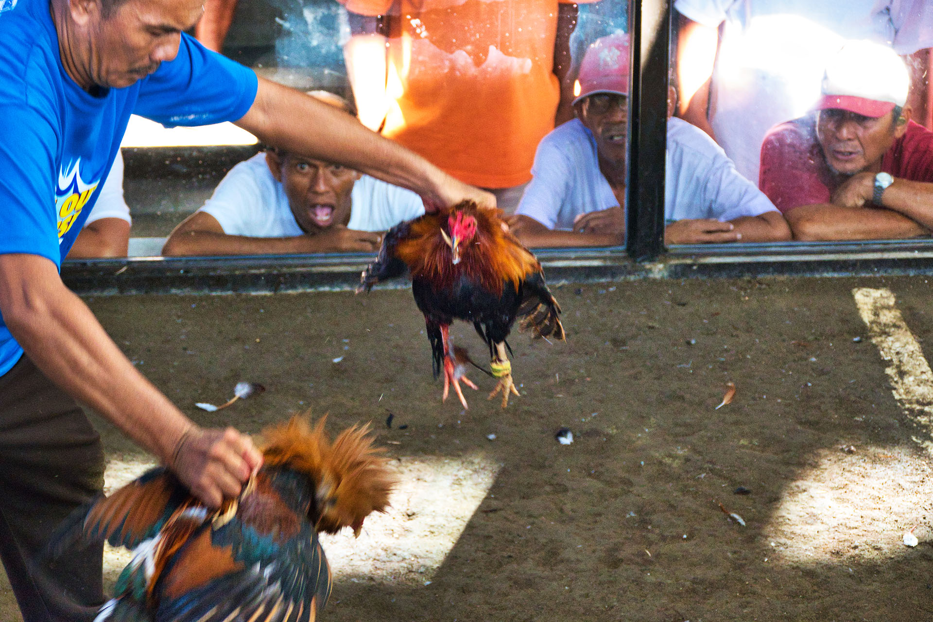 Philippine cockfighting (sabong) disappearance case may involve hundreds of lives, Justice Minister says each life "priced at 500,000 pesos"