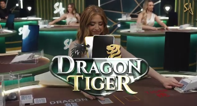 Dragon and Tiger Fight "Upgraded Version" is Here: A Side Bet Makes the Platform Earn an Extra 50%! - Mr. D