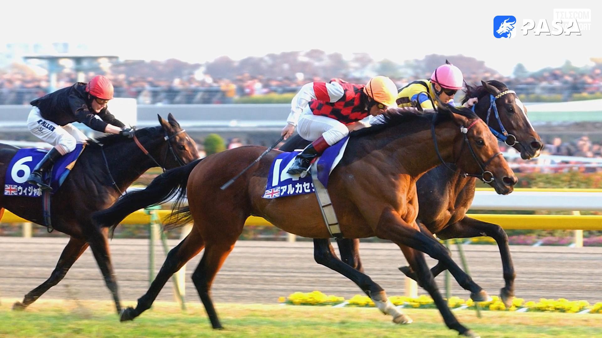 The Truth About Sports Betting in Bangladesh! Are They Legal and Safe?