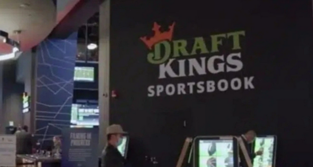 DraftKings发布保守指引股价重挫,预测市场成行业“灰犀牛”