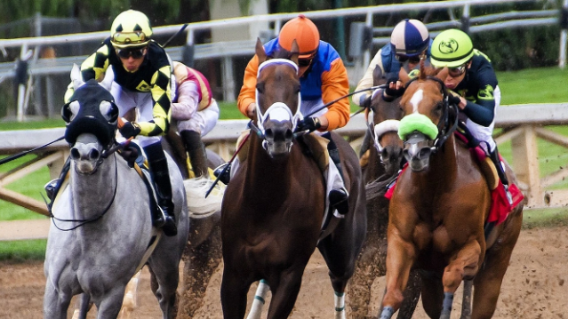 RMG and ARC Secure Global Distribution Rights for Dubai Horse Racing, UAE Market Continues to Evolve