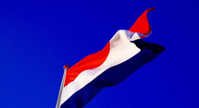 Dutch gambling total revenue falls 16% in the first half of the year, regulatory body concerned about the growth of illegal gambling