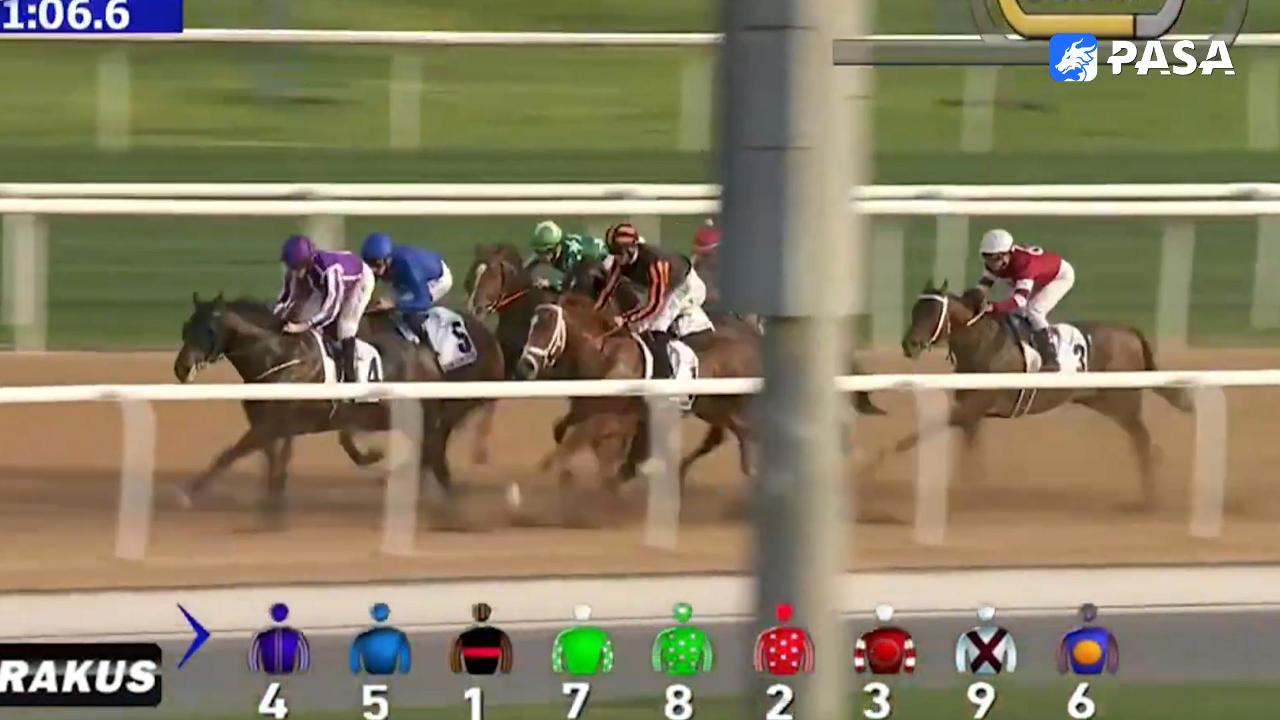 Want to start a horse betting business? These two leading websites are a must-know for you!