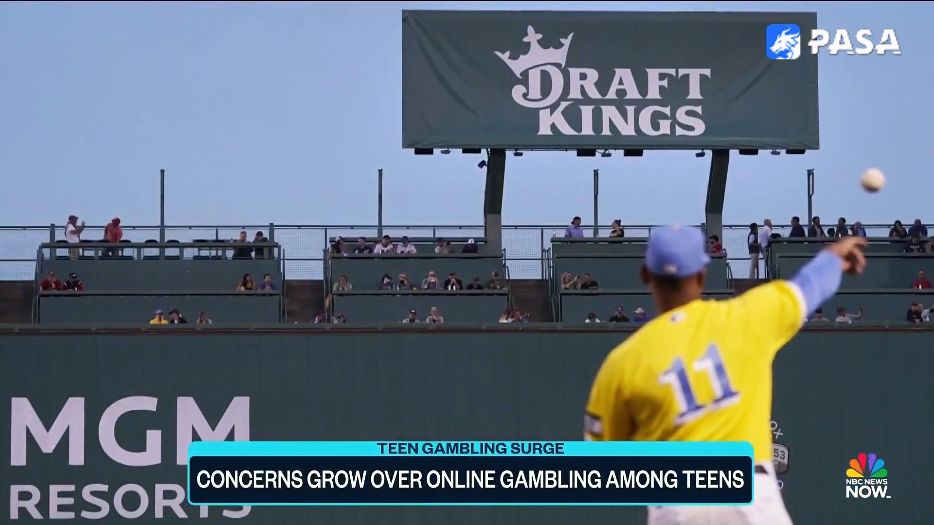 Under Stricter Regulation: The Future of the Youth Market and "Soft Gambling" Products