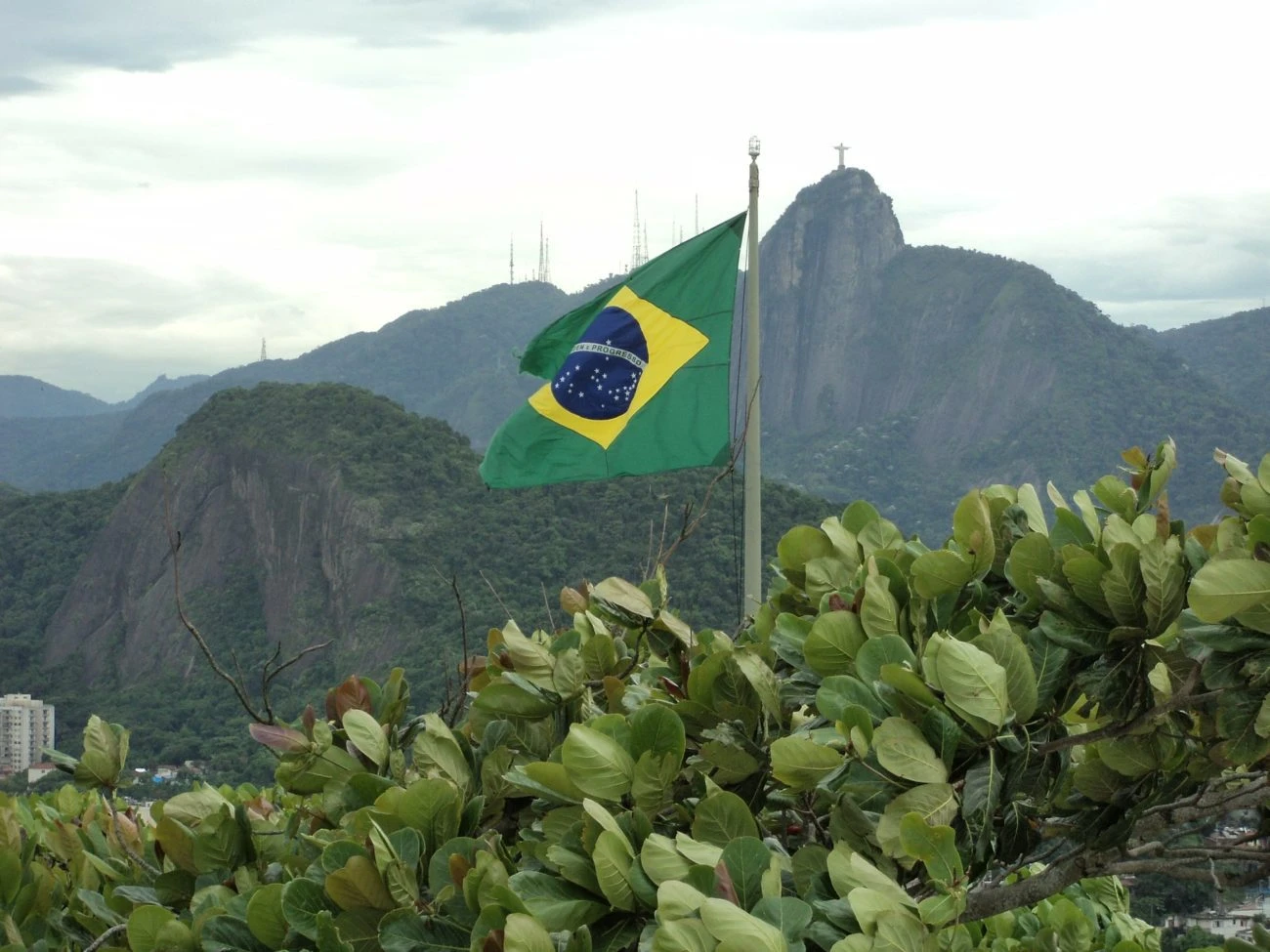 Tom Waterhouse of Waterhouse VC: How is the Brazilian Gambling Market Worth Billions of Dollars?
