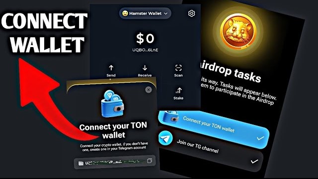 Revealing the "TG Wallet": Telegram Launches a Major Cryptocurrency Payment Tool
