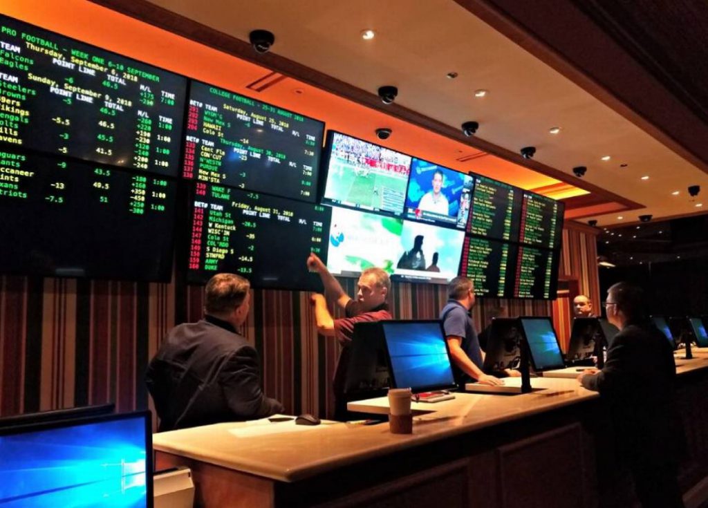 "March Madness" Sports Betting Platform Performance Analysis: Who Wins in Stability and Risk Management?