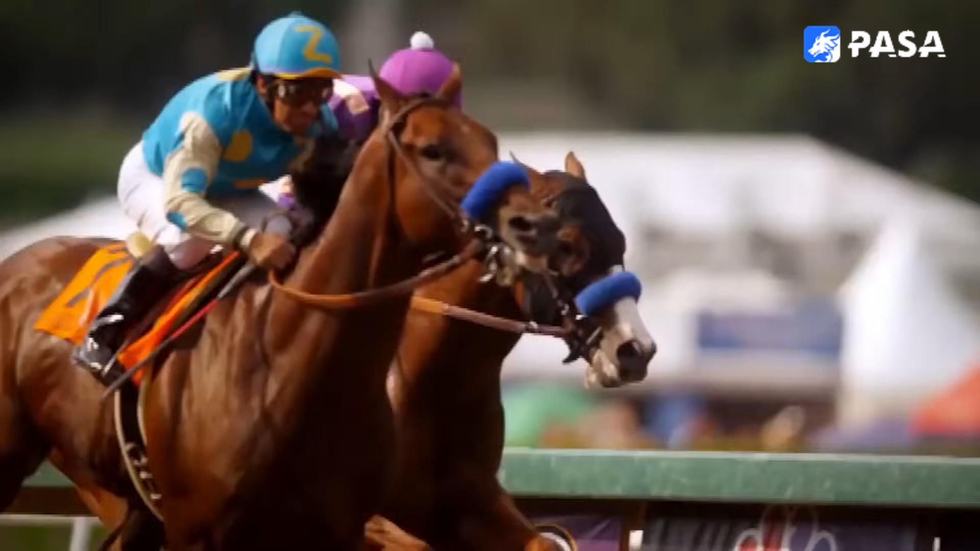 Sweeping the globe? What exactly is horse race betting?